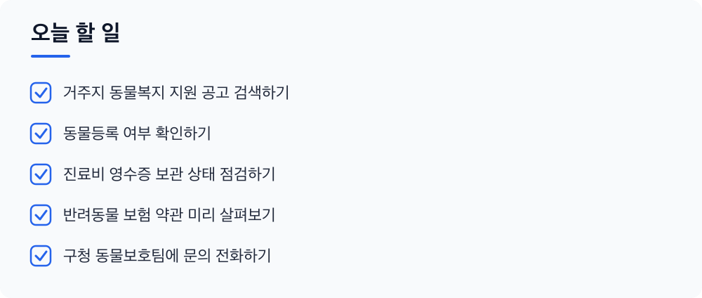 오늘 할 일